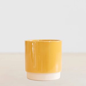 Aanbieding Londen Geel - P12