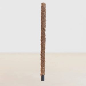 Aanbieding Mosstok - 80cm